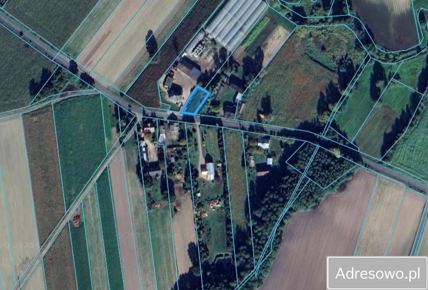 Działka siedliskowa Nowy Karolew Raszawy. Zdjęcie 7