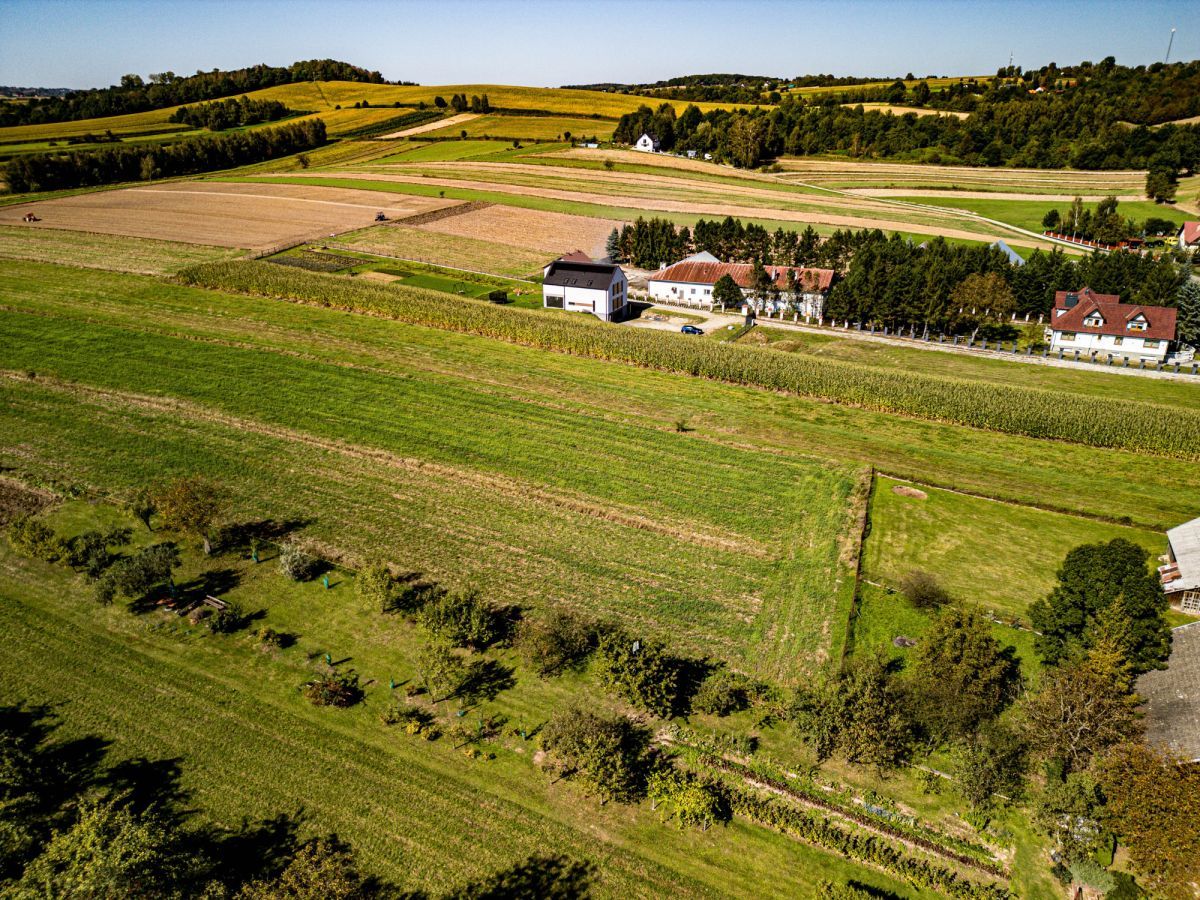 Działka budowlana Niegowić. Zdjęcie 6