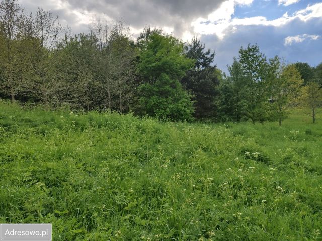Działka budowlana Łąkie. Zdjęcie 1