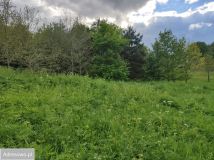 Działka budowlana Łąkie