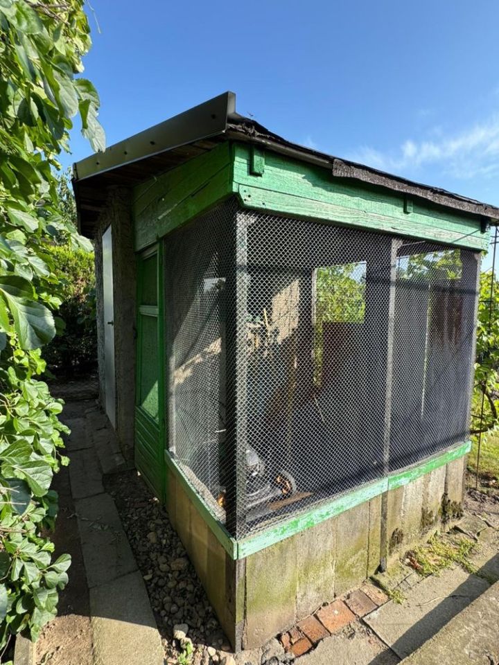 Działka rod Gniezno, ul. Biskupińska. Zdjęcie 4