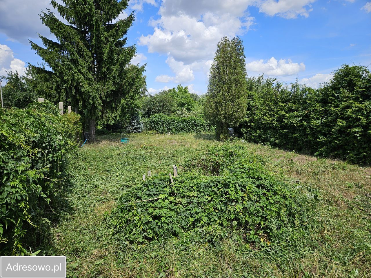 Działka rod Toruń Rudak, ul. Rudacka. Zdjęcie 11