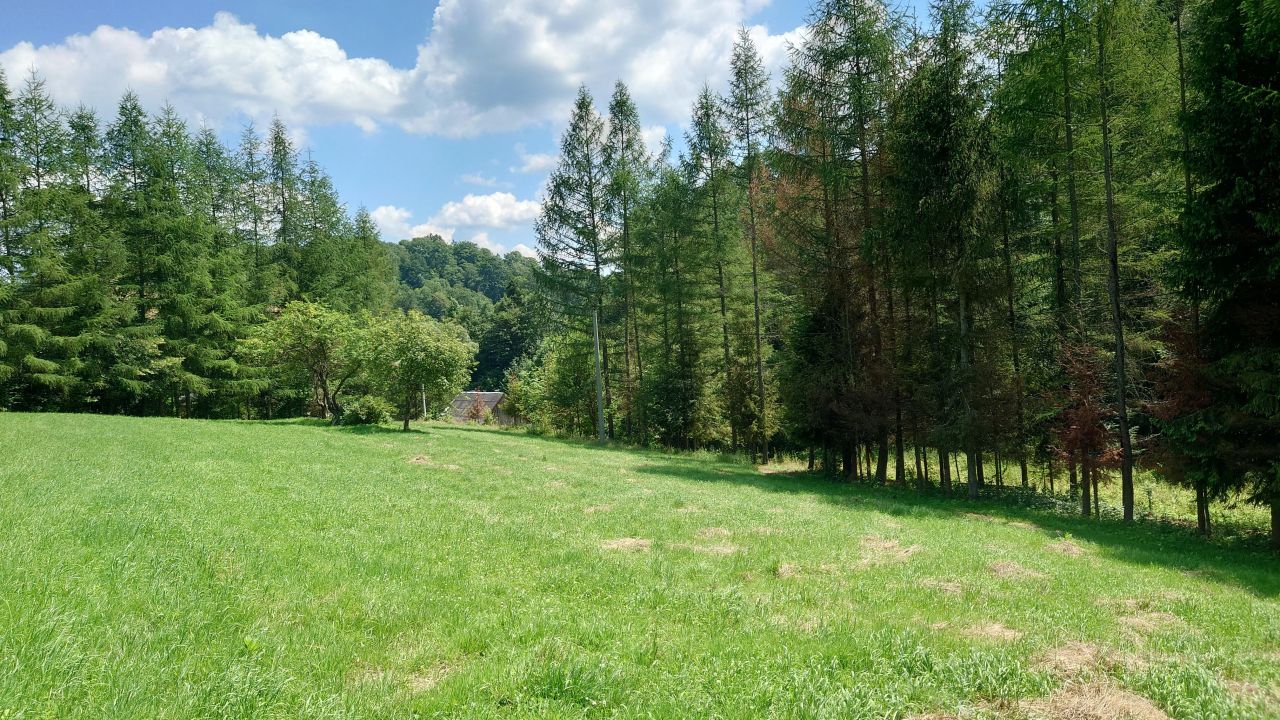 Działka budowlana Bóbrka. Zdjęcie 4