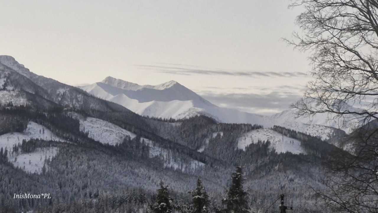 Hotel/pensjonat Witów. Zdjęcie 4