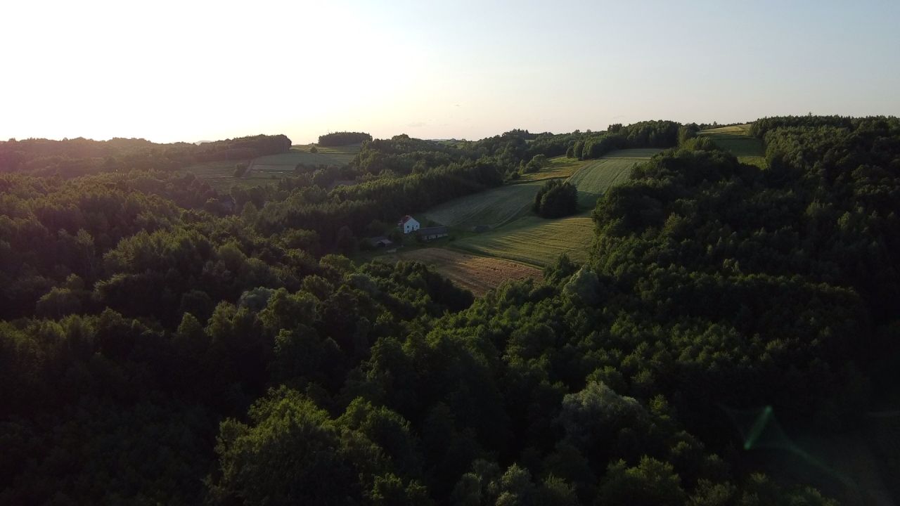 gospodarstwo, 3 pokoje Przeczyca Podlesie. Zdjęcie 7