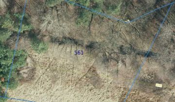 Działka rolna Smyków Smyków Mały, ul. Leśna