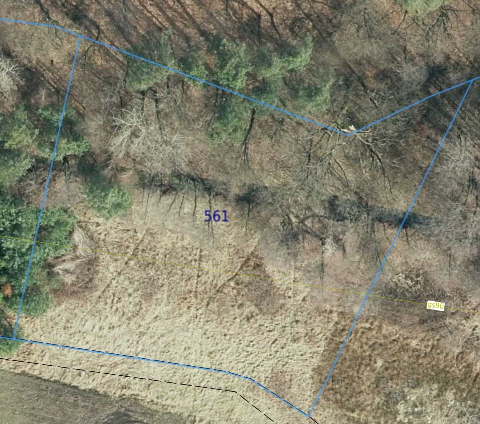 Działka rolna Smyków Smyków Mały, ul. Leśna