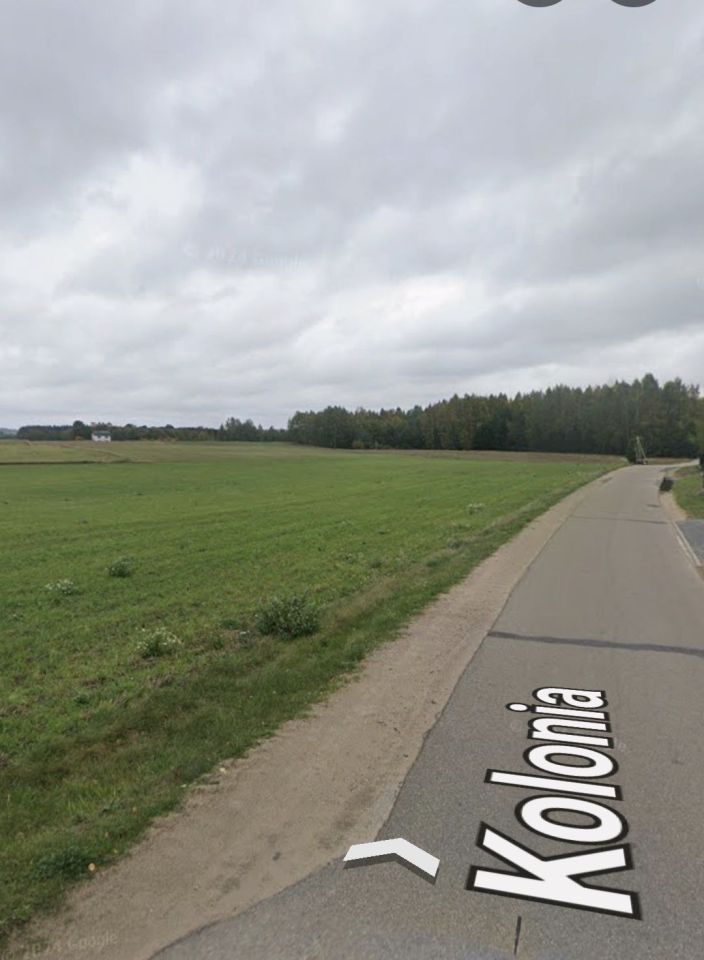Działka Rybno, bez pośrednika - 4,48 ha - 300 000 zł