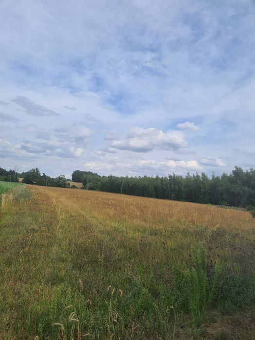 Działka budowlana Rachcin. Zdjęcie 3