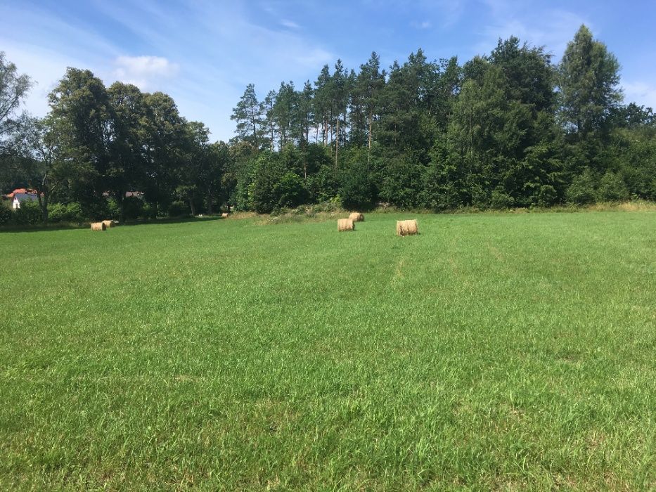 Działka siedliskowa Tadzino. Zdjęcie 6