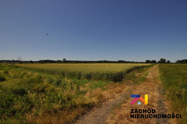 Działka rolna Zielona Góra Zawada. Zdjęcie 1