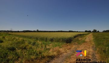 Działka rolna Zielona Góra Zawada