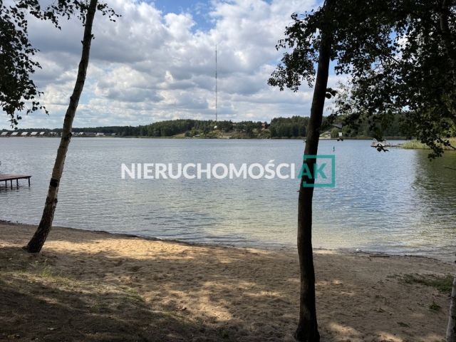 Działka leśna Głębockie Pierwsze. Zdjęcie 3