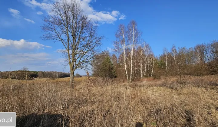 Działka rolno-budowlana Studzianki Pancerne