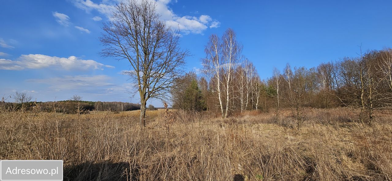 Działka rolno-budowlana Studzianki Pancerne. Zdjęcie 1