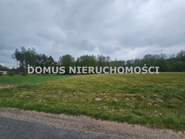 Działka siedliskowa Chociszew. Zdjęcie 4