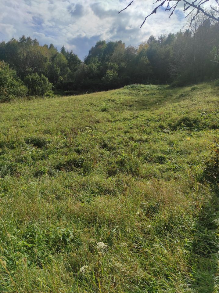 Działka siedliskowa Golcowa. Zdjęcie 14