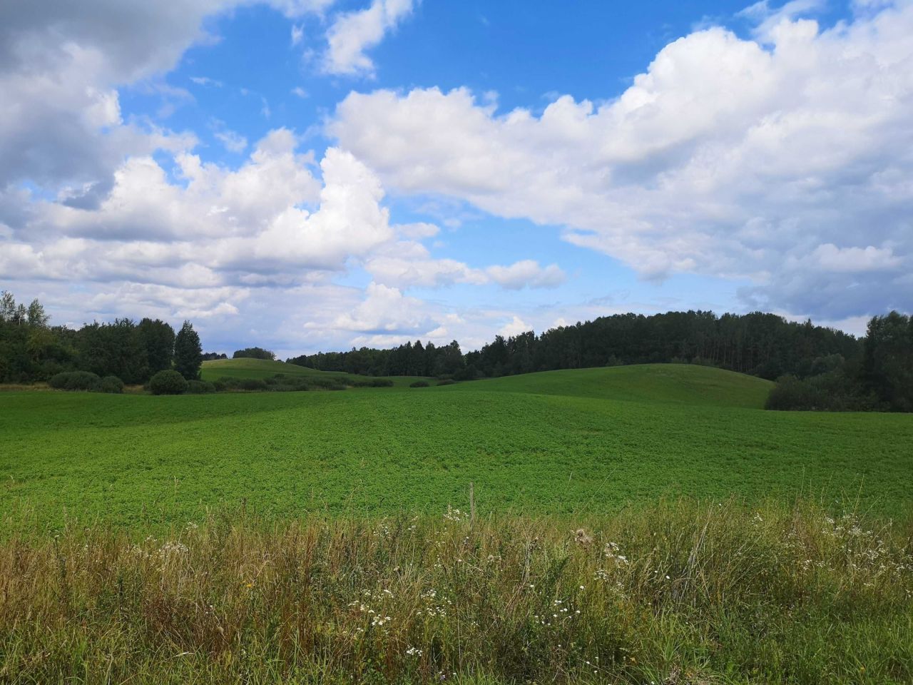 Działka rolna Dunajek