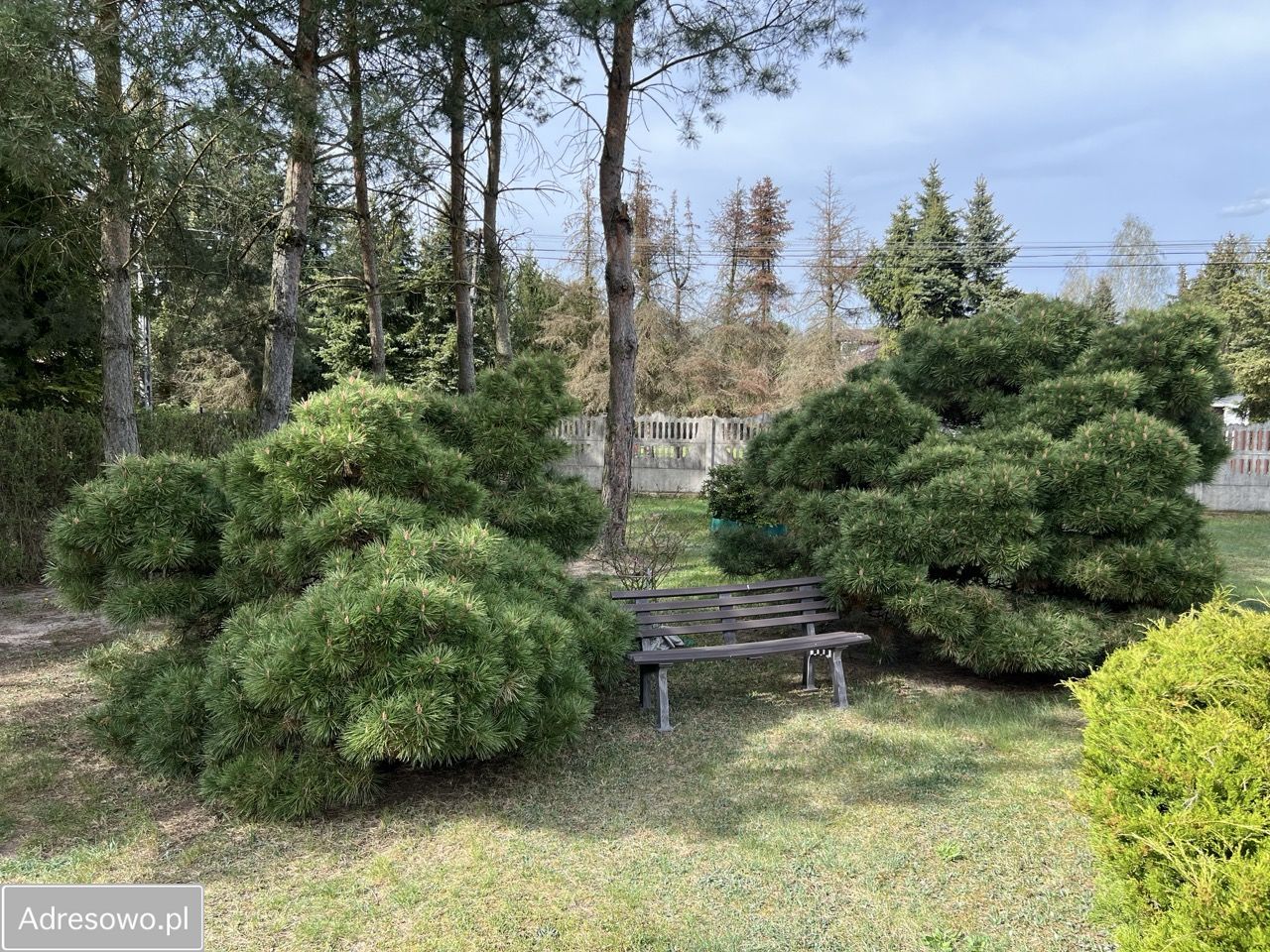 dom wolnostojący Janowice. Zdjęcie 10