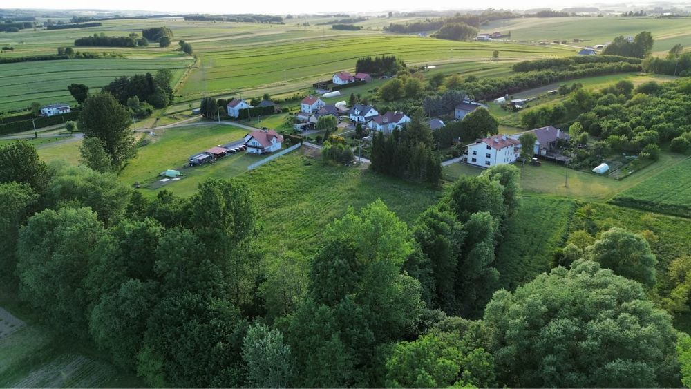 Działka budowlana Niechobrz. Zdjęcie 4