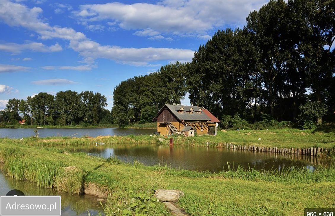Działka rolna Wałsnów. Zdjęcie 11