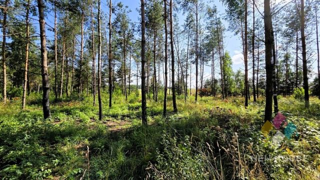 Działka budowlana Jabłonka. Zdjęcie 4