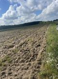 Działka rekreacyjna Szumlin. Zdjęcie 3