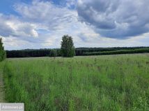 Działka rolna Suchowola. Zdjęcie 2