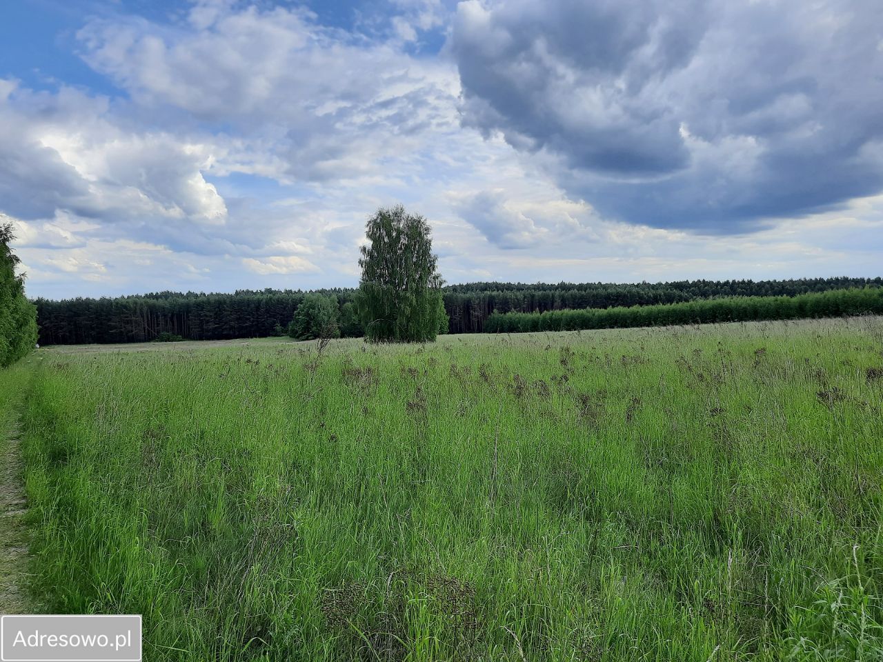 Działka rolna Suchowola. Zdjęcie 3