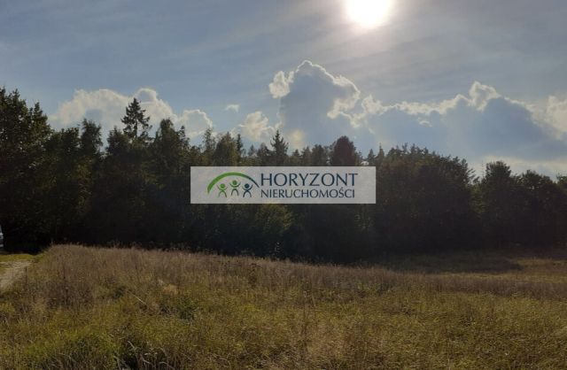 Działka budowlana Banino. Zdjęcie 3