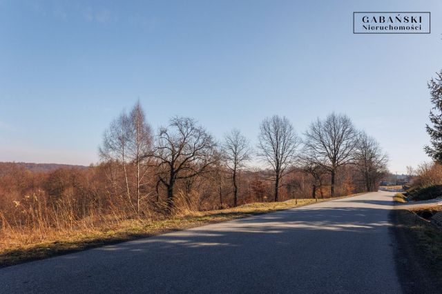 Działka rolno-budowlana Dąbrówka Szczepanowska. Zdjęcie 10