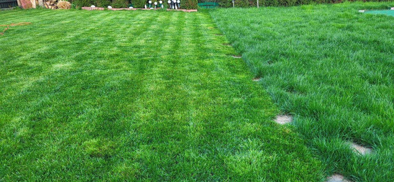 Działka rod Chorzów. Zdjęcie 8