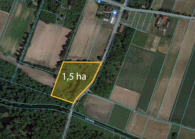 Działka inwestycyjna Błonie. Zdjęcie 1