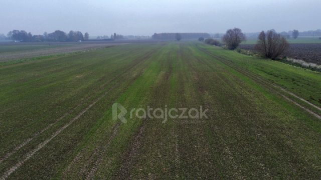 Działka budowlana Drewnica, ul. Wierzbowa. Zdjęcie 15