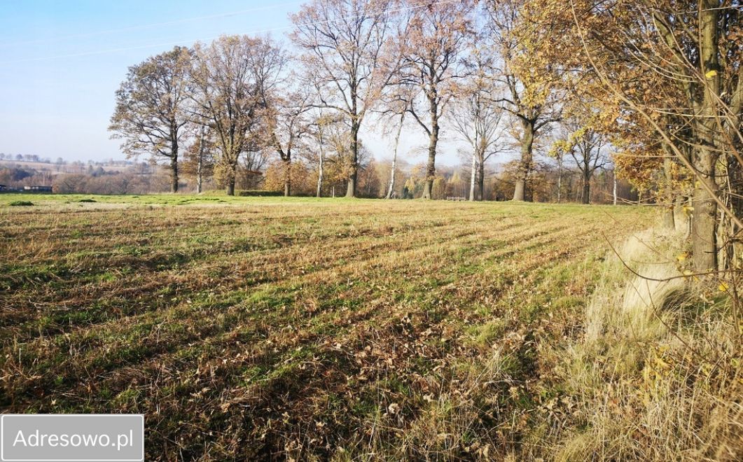 Działka budowlana Grabiszyce Górne. Zdjęcie 6