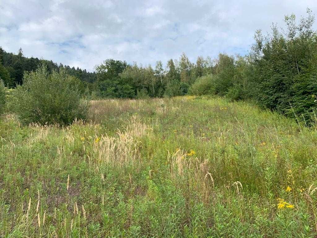 Działka budowlana Świnna Poręba. Zdjęcie 3