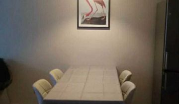 Mieszkanie 2-pokojowe Gryfino