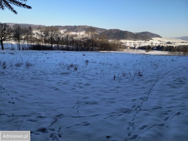 Działka rolna Świdnik. Zdjęcie 1