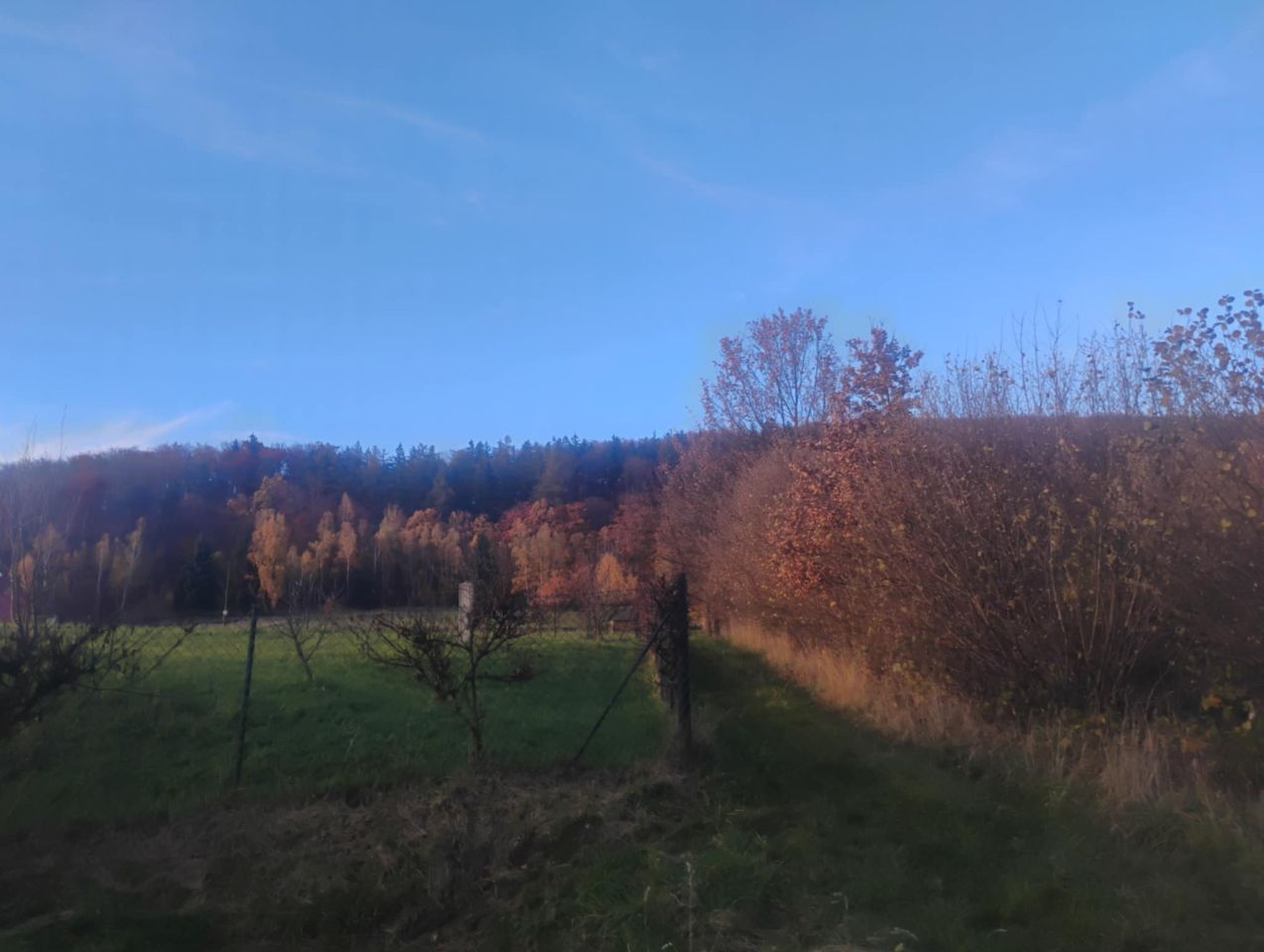 Działka budowlana Radochów. Zdjęcie 10