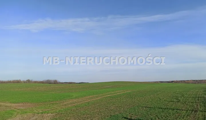 Działka rolna Jurgi