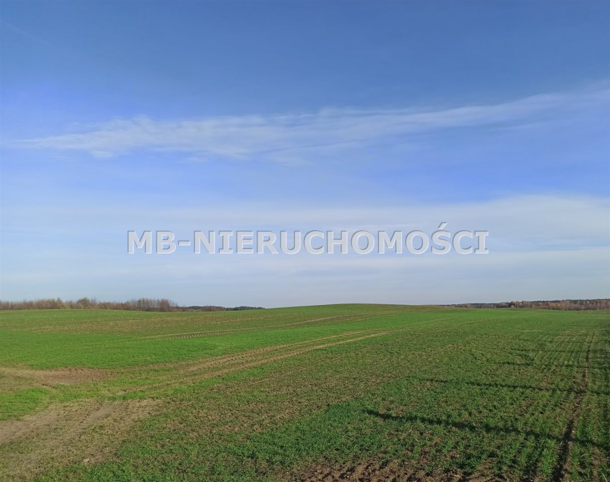 Działka rolna Jurgi. Zdjęcie 1