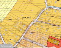 Działka inwestycyjna Cholerzyn. Zdjęcie 3