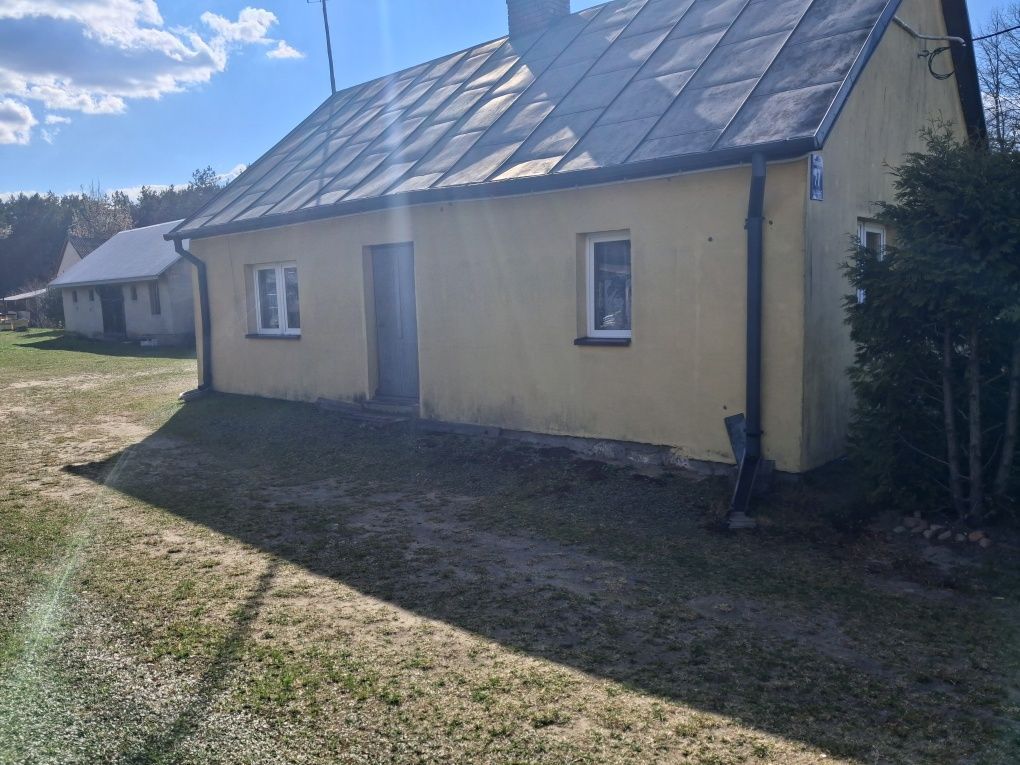 siedlisko Domanice. Zdjęcie 4