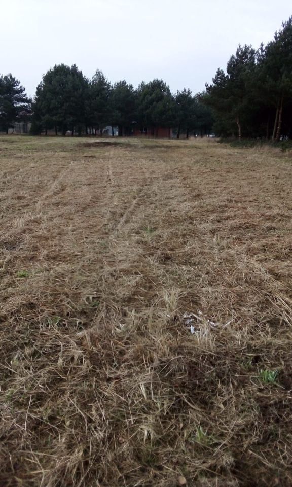 Działka budowlana Rosocha-Kolonia. Zdjęcie 5