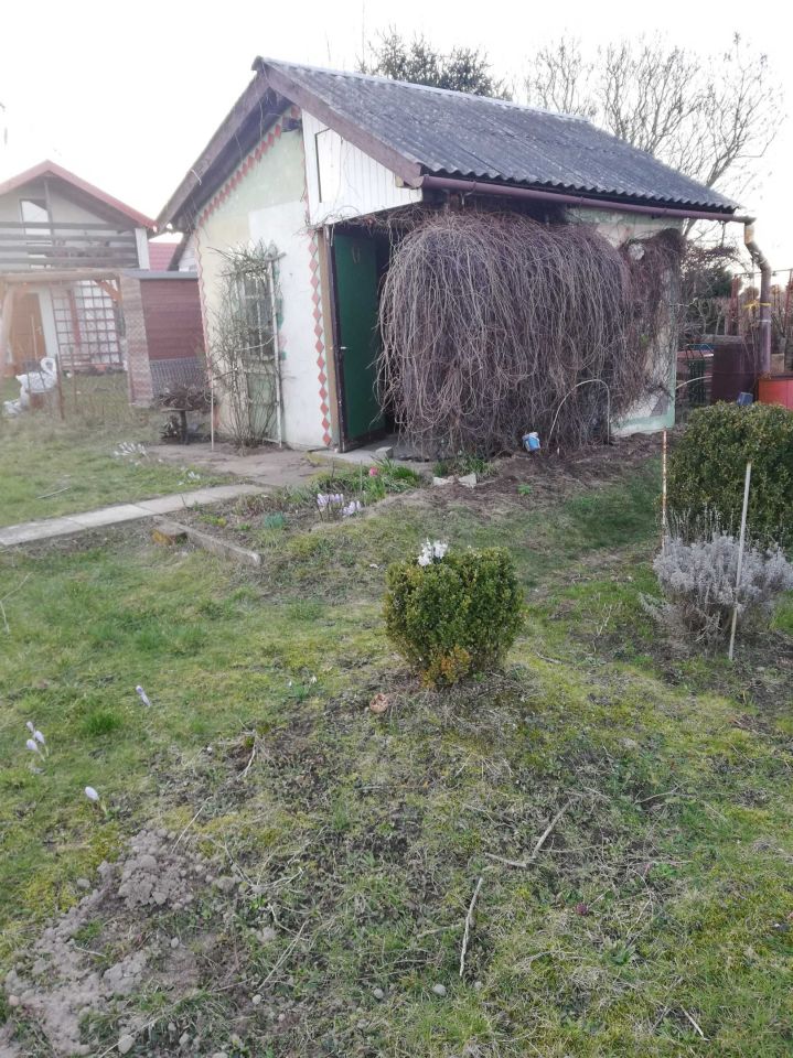 Działka rod Iława, ul. Ostródzka. Zdjęcie 4