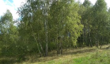 Działka leśna Rudnik Mały, Piaskowa