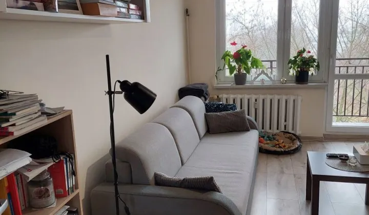 Mieszkanie 2-pokojowe Zabrze, ul. Grunwaldzka