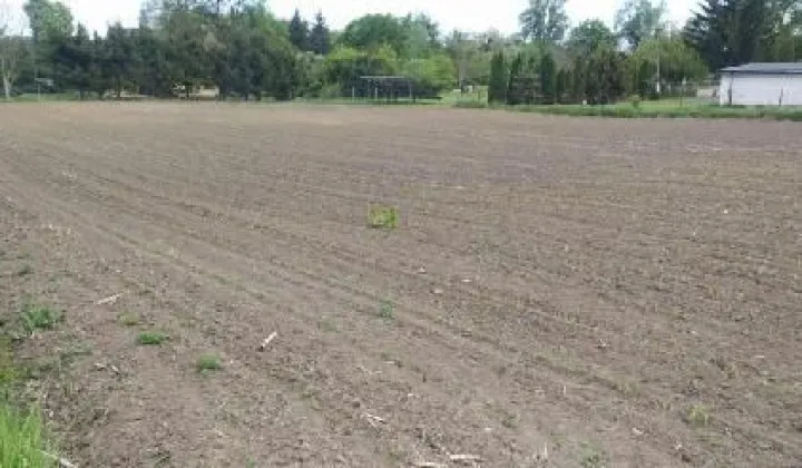 Działka budowlana Dragacz