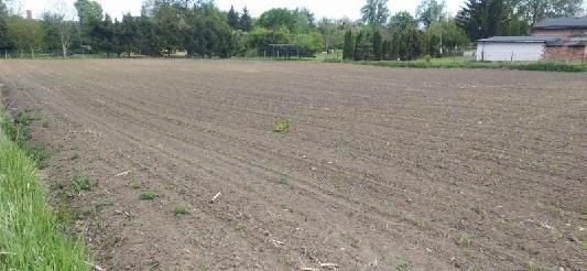 Działka budowlana Dragacz. Zdjęcie 1