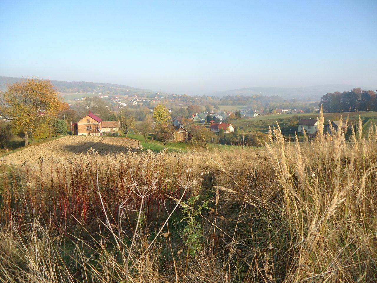 Działka rolno-budowlana Przedmieście Czudeckie Zawisłocze. Zdjęcie 2